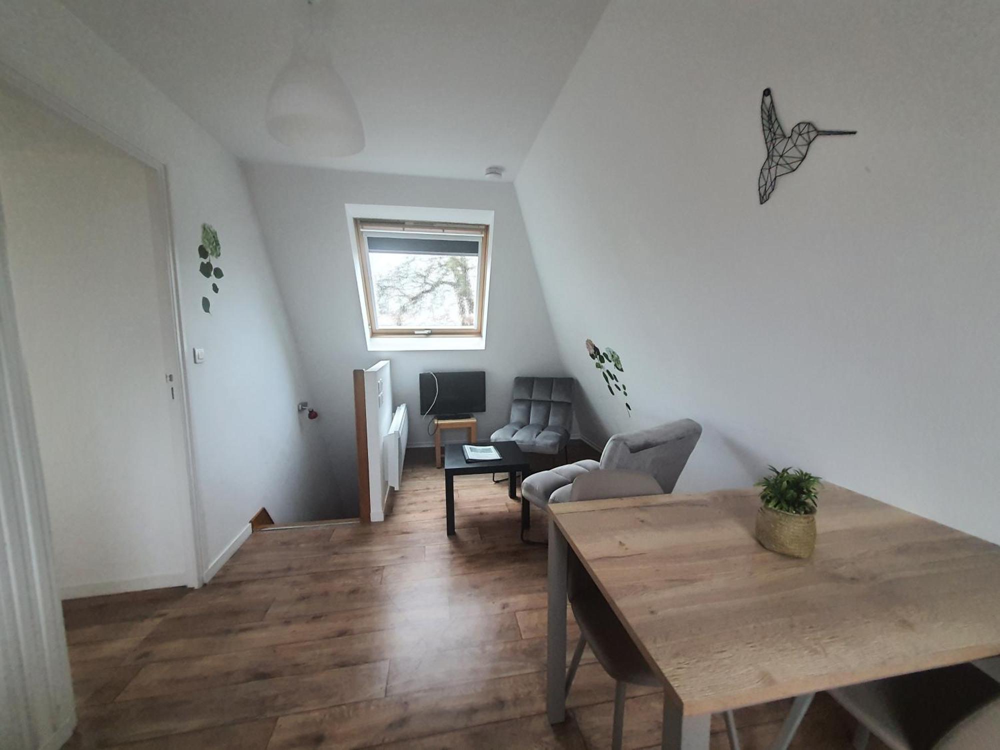 Apartmán Domaine De Manehouarn Plouay Exteriér fotografie